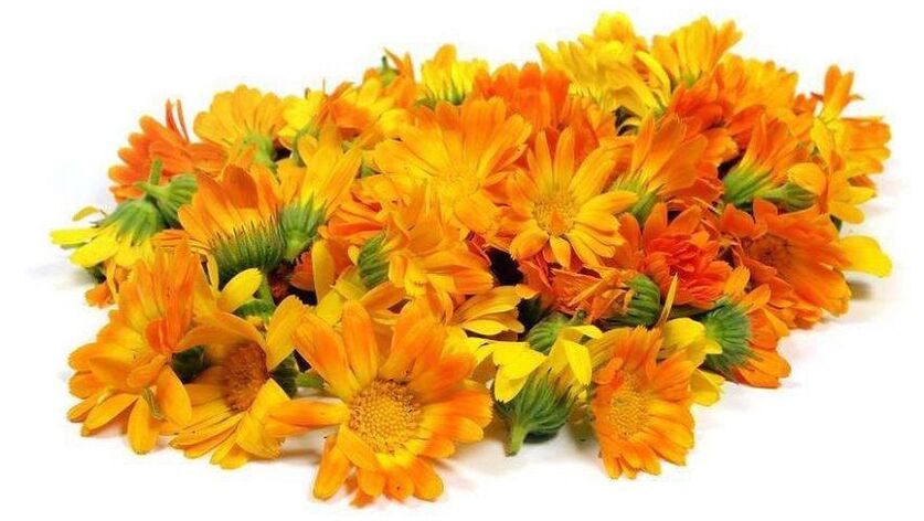 Extrait de calendula dans Promicil